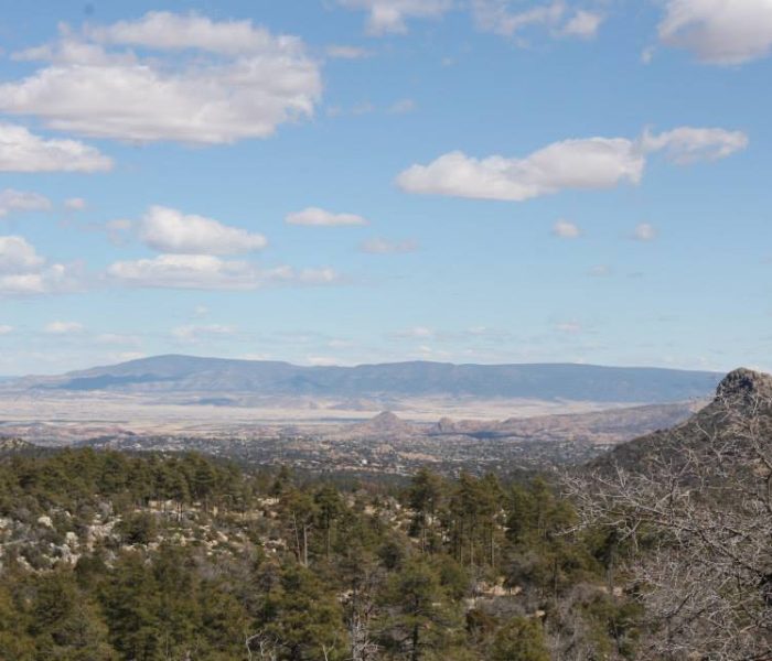 1781892_10152232076928758_1487541252_n