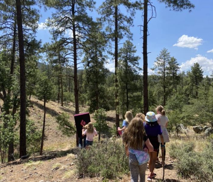 306098506_482905453848158_4422262914755895310_n